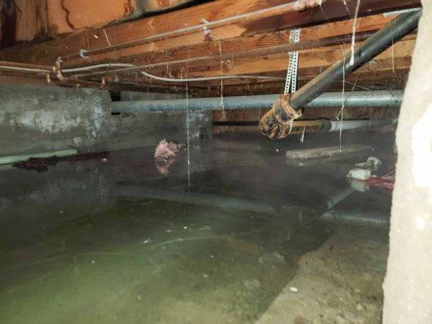 Best Water damage restoration near me  in Throop, PA