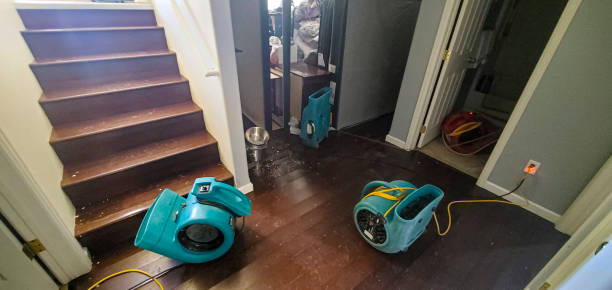 Best Flood damage cleanup  in Throop, PA