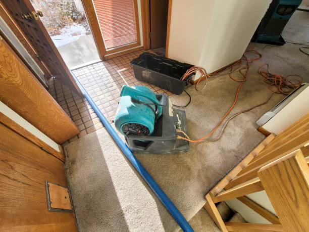 Best Flood restoration services  in Throop, PA