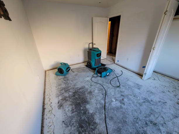 Best Water damage contractors near me  in Throop, PA