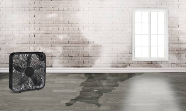Water damage restoration experts in Throop, PA