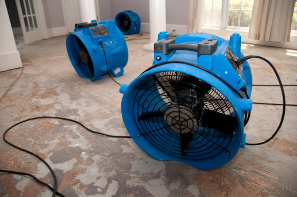 Best Flood damage cleanup  in Throop, PA