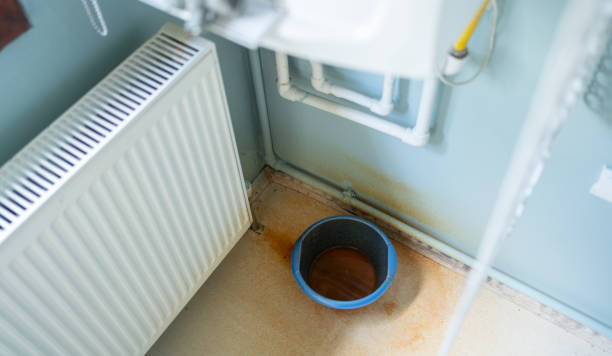 Best Water damage restoration experts  in Throop, PA