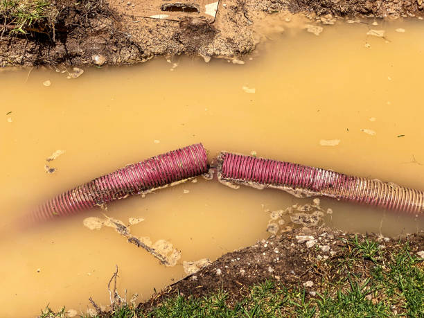 Best 24-hour water damage restoration  in Throop, PA
