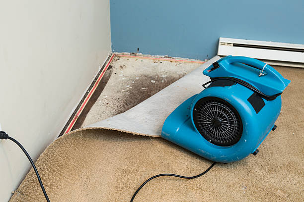 Carpet water damage restoration in Throop, PA
